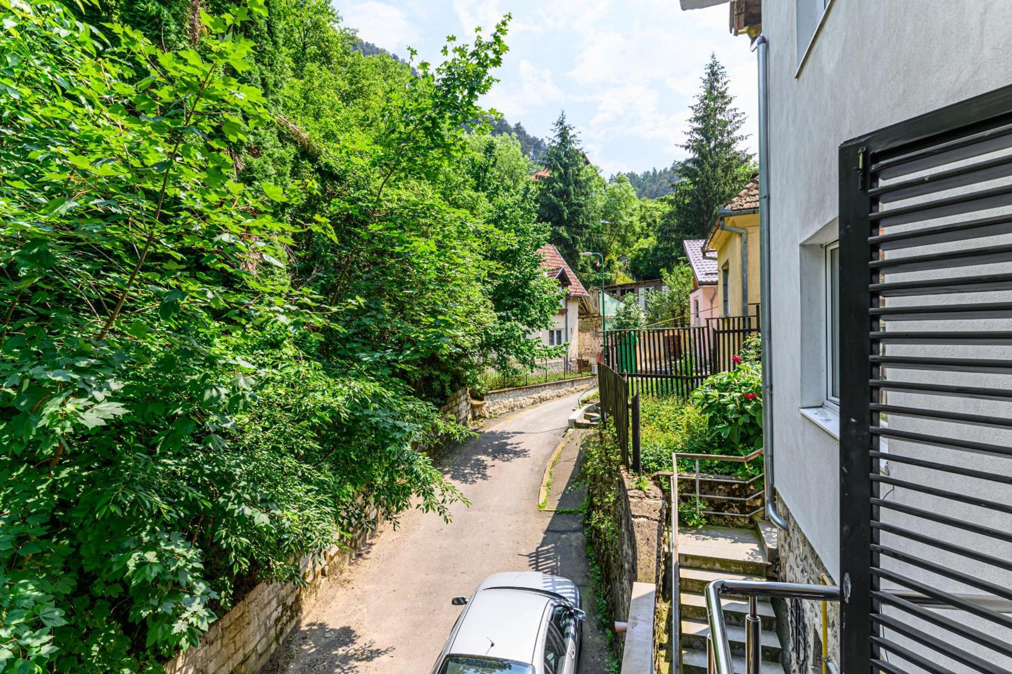 Ferienwohnung C Alex Brașov Exterior foto